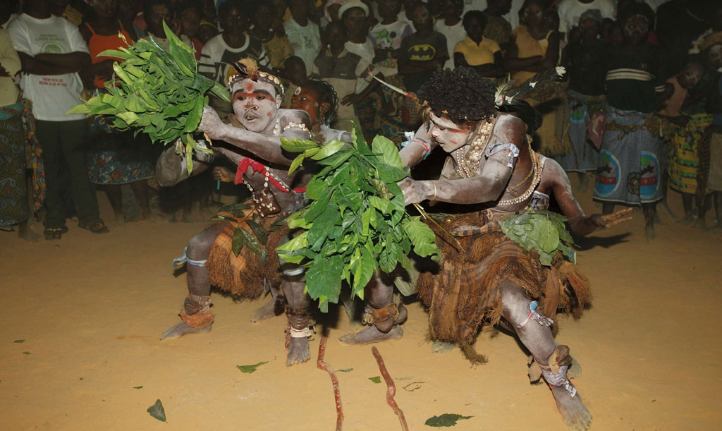 The Amazing History of Ibogaine