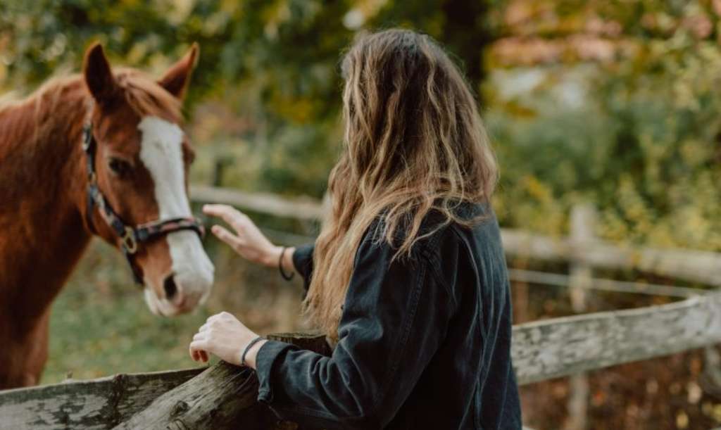 5 Benefits of Equine-Assisted Therapy