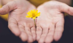 Define Making Amends Matters