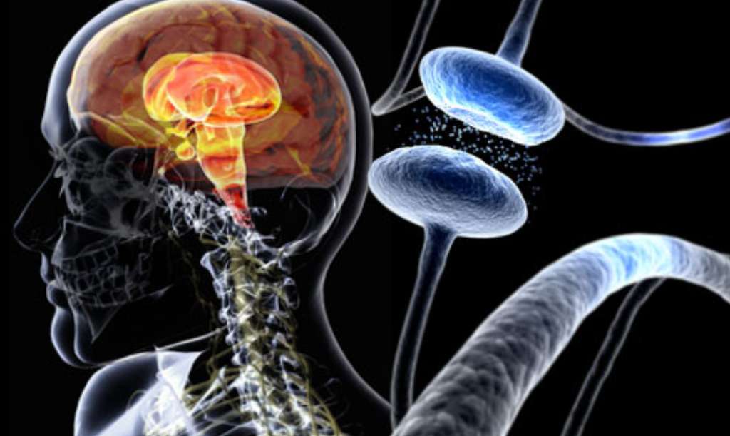Ibogaine Treatment: Why It Works