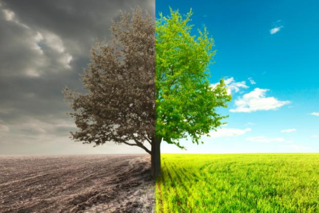 Addiction Treatment: Are YOU Ready?