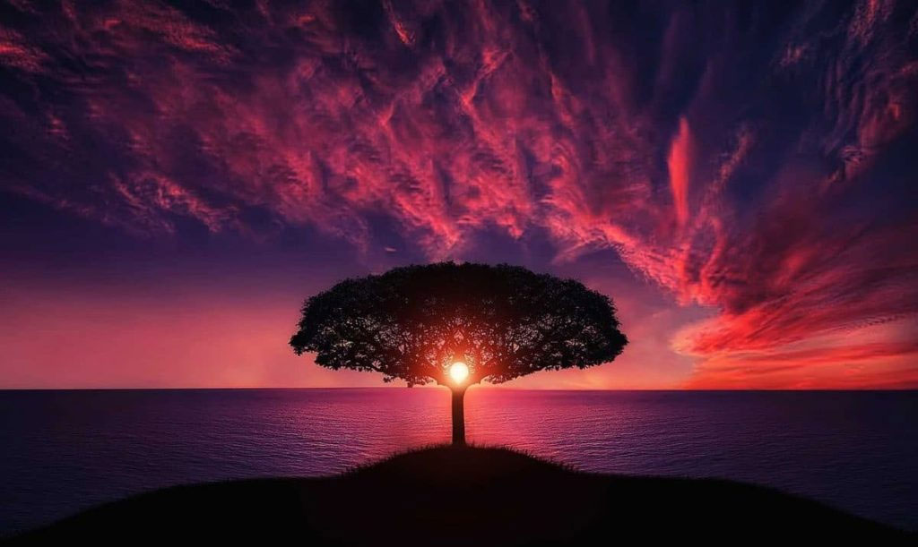 Spirituality and Healing