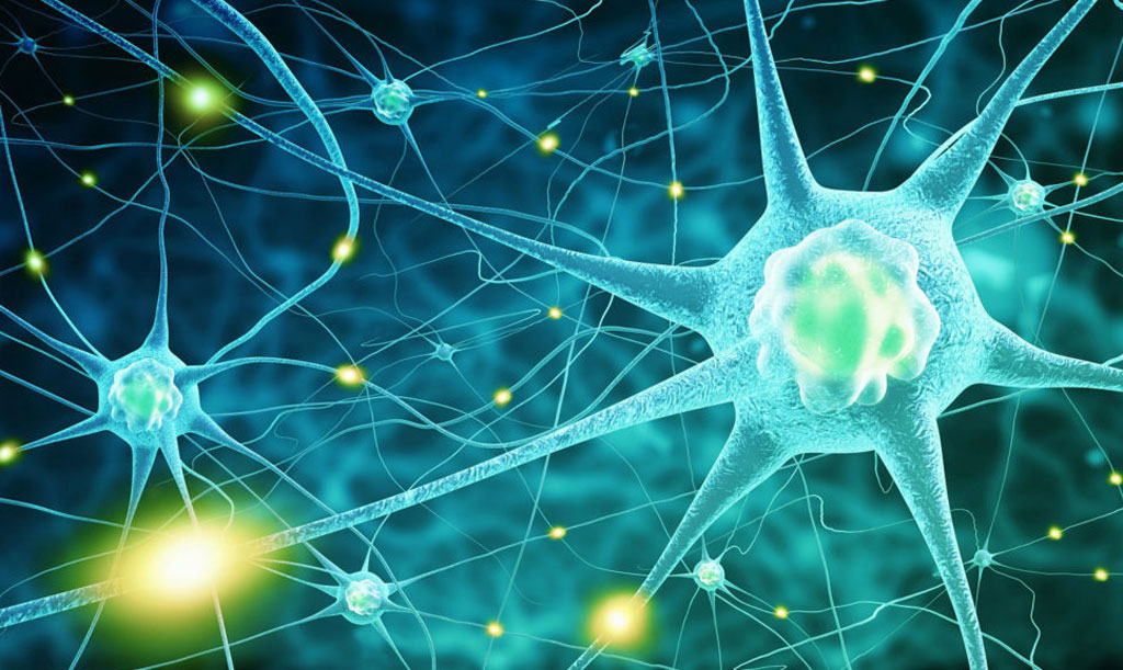 Ibogaine Side Effects