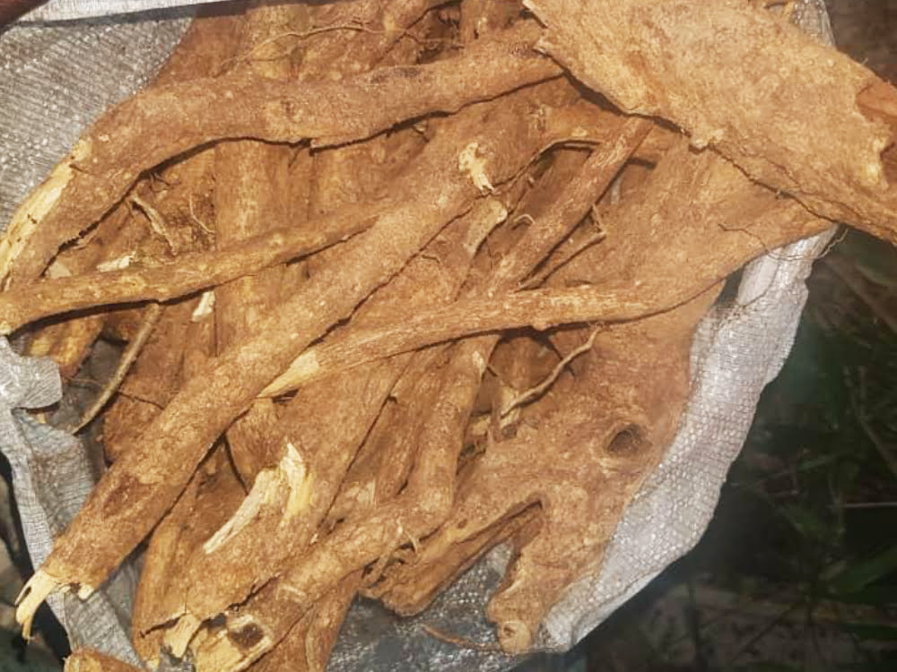 Ibogaine