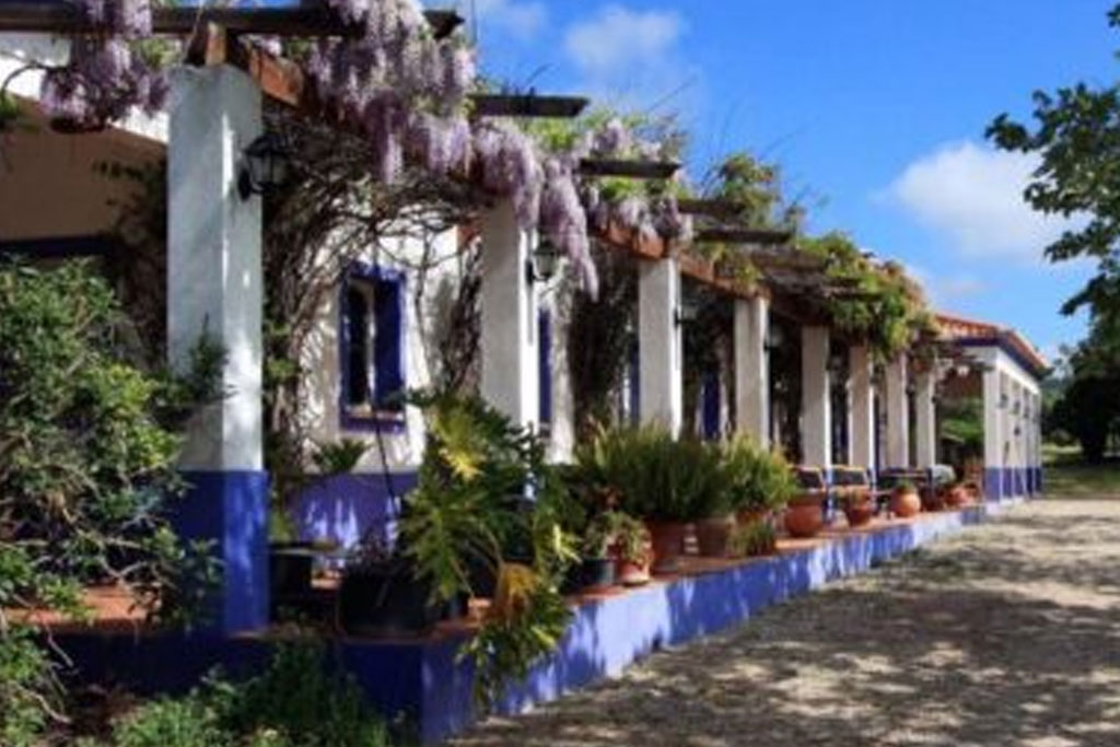 Why Are So Many British Addicts Seeking Treatment in Portugal?